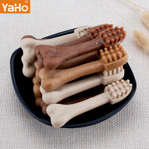 Why Your Pet Deserves the Best Snacks