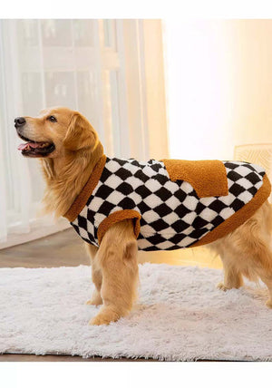 Keep Your Pet Cozy This Autumn and Winter