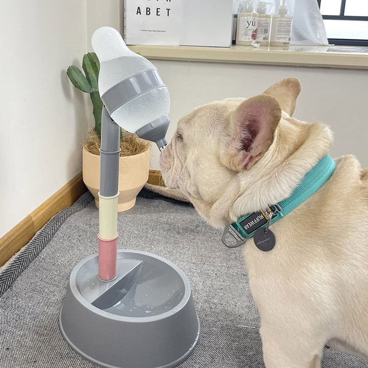 Enhancing Your Pet's Hydration Experience with the Automatic Pet Water Dispenser