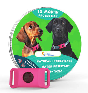 Protect Your Furry Friends with Our Flea And Tick Control Repellent Collar