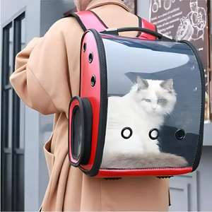 Durable PET Carriers For Safe Traveling