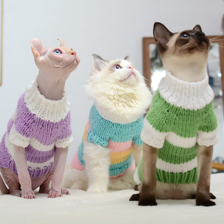 Why Your Pet Deserves the Best: The Pet Warm Sweater