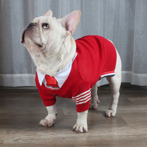 Keep Your Pet Stylish and Warm This Winter