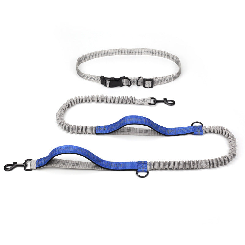 Multifunctional Reflective Double Telescopic Pet Running Leash Rope Lead