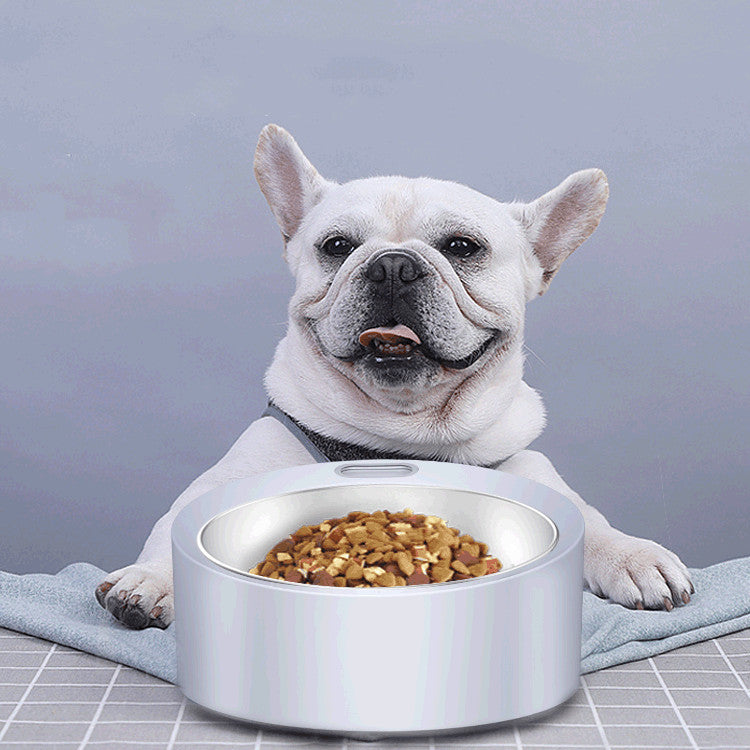 Large Capacity Pet Feeding Bowl Detachable Stainless Steel Scale Feeder