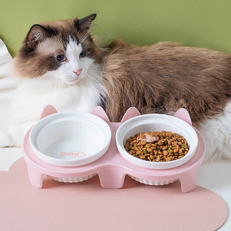 Ceramic Double Pet Bowl Elevated Diagonal Feeding Stand