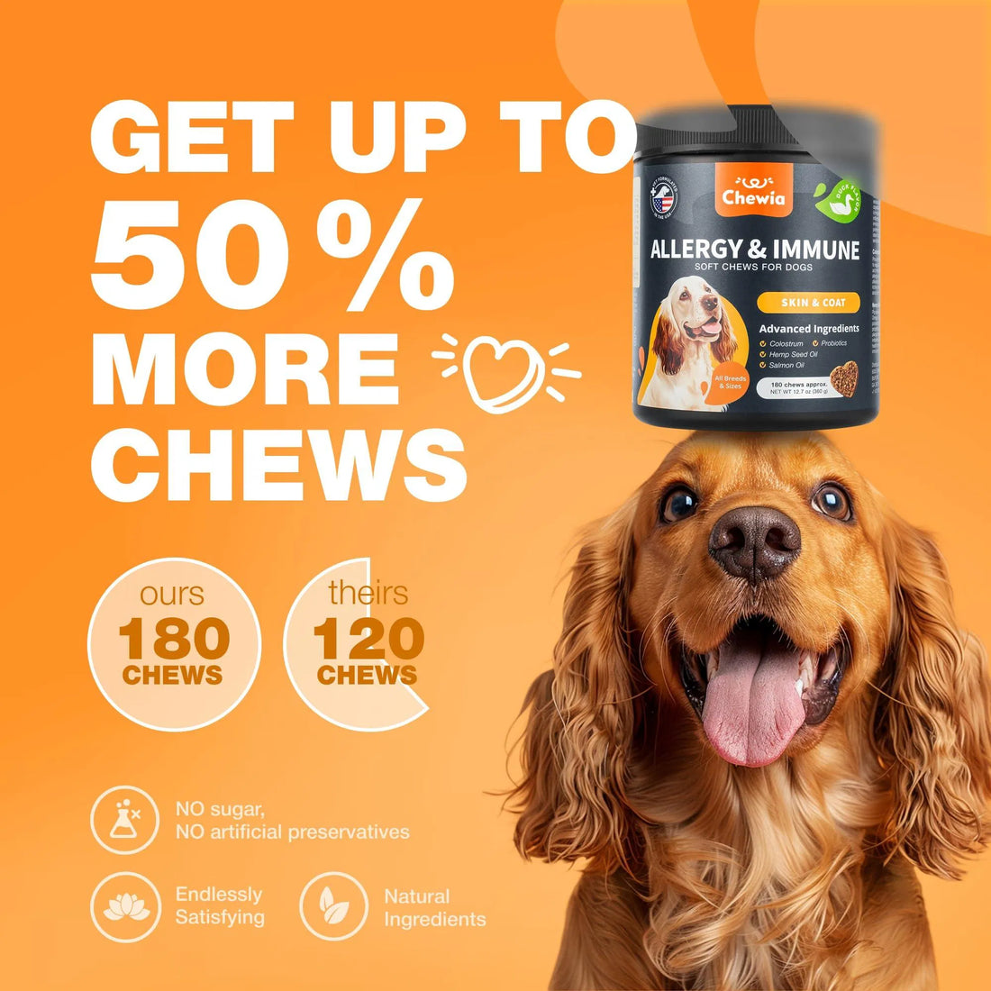 Allergy Relief Chews Itch & Skin Support Treats