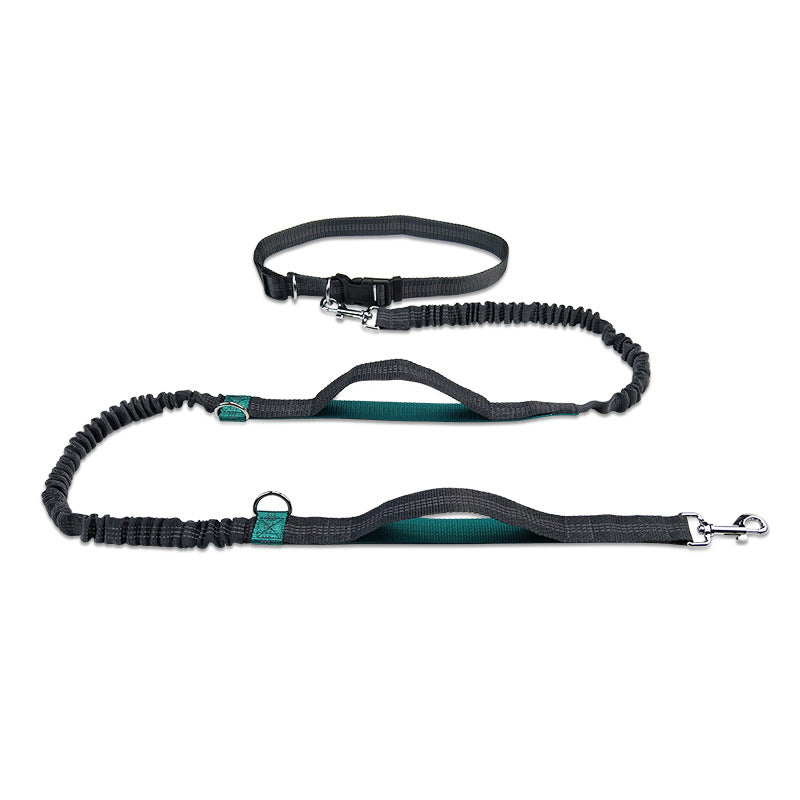 Multifunctional Reflective Double Telescopic Pet Running Leash Rope Lead