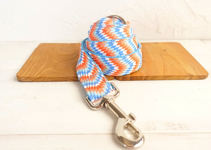 Portable Money Loop Pet Running Rope Leash Set