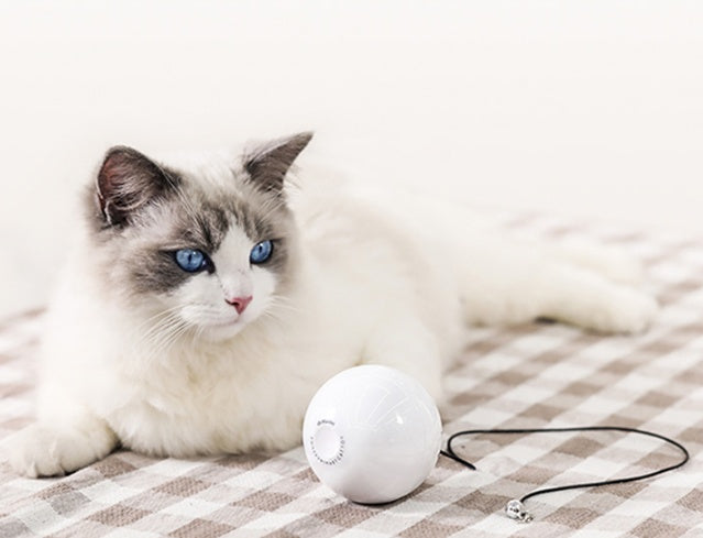Pet Smart Automatic Interactive Rolling Ball Toy