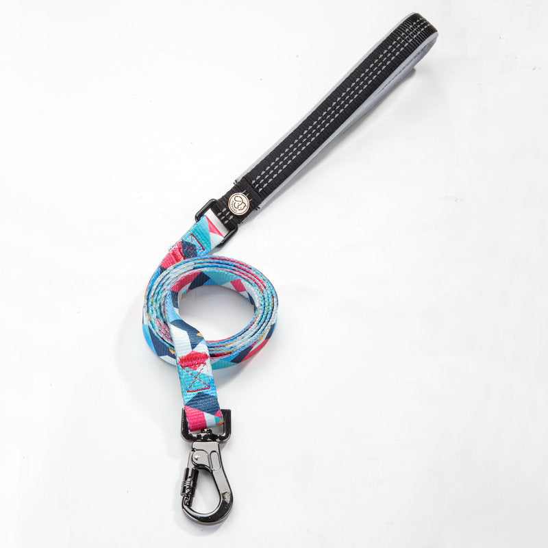 Pet Leash Durable Adjustable Walking Lead