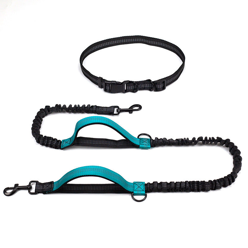 Multifunctional Reflective Double Telescopic Pet Running Leash Rope Lead