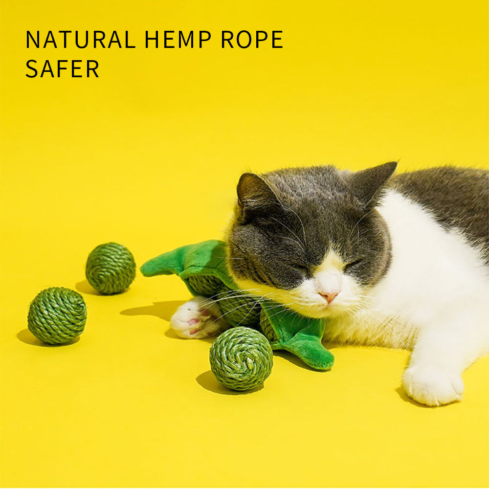 Pet Interactive Sisal Rope Chew Ball Toy Set With Sound