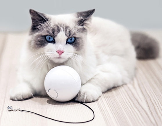 Pet Smart Automatic Interactive Rolling Ball Toy