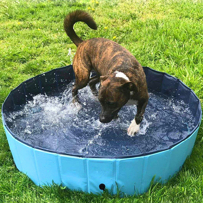 Foldable Pet Bath Collapsible Swimming Pool Indoor Outdoor