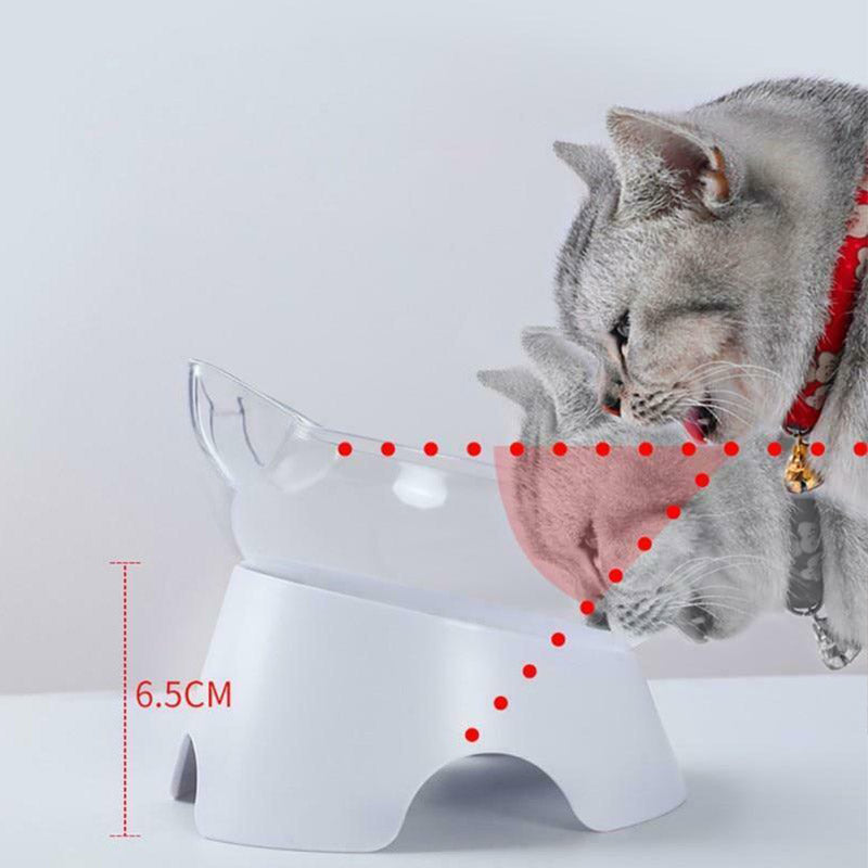Pet Feeding Bowl Elevated Feeder