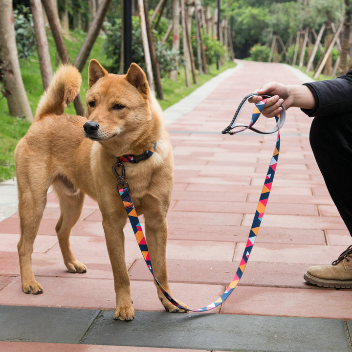Pet Leash Durable Adjustable Walking Lead