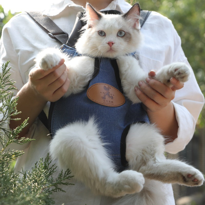 Portable Pet Backpack For Spring Outing Carrier Bag