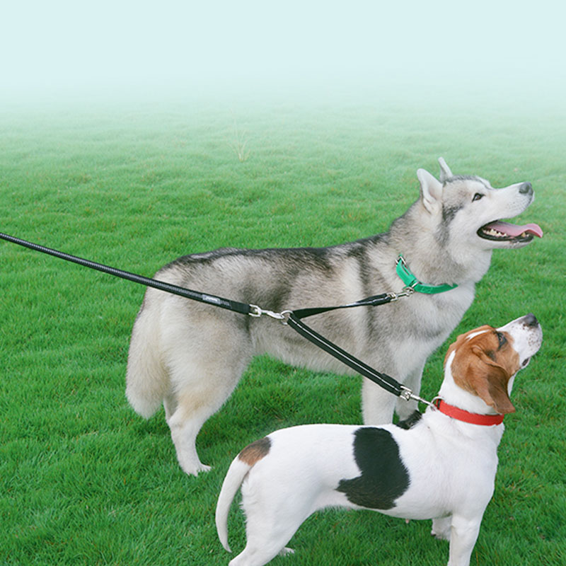 Double Head One To Two Nylon Pet Leash Reflective