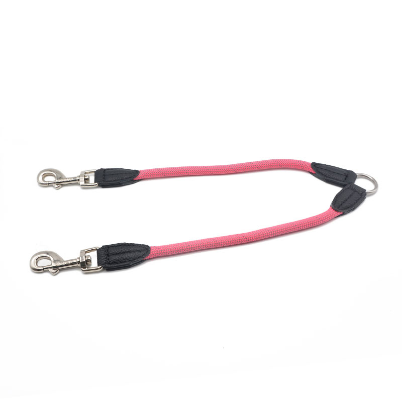 Double Head One To Two Nylon Pet Leash Reflective