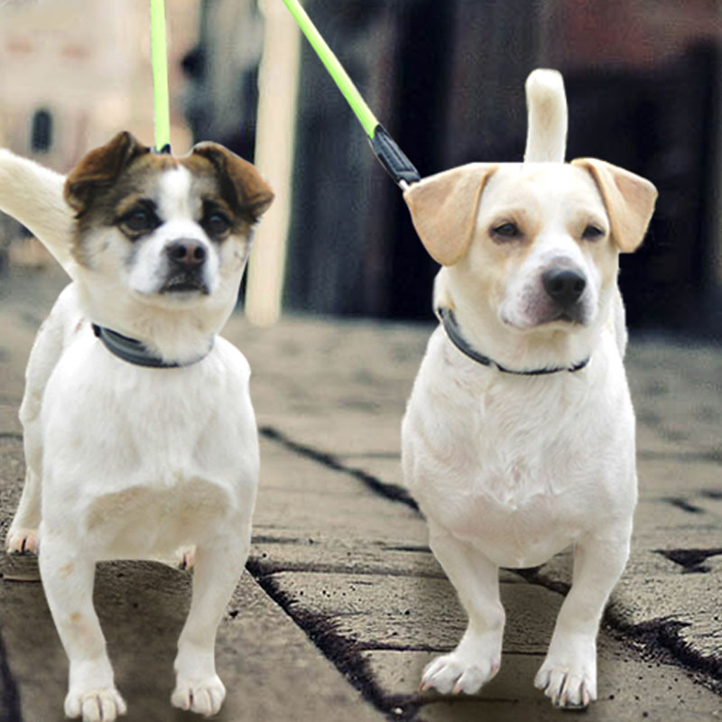 Double Head One To Two Nylon Pet Leash Reflective