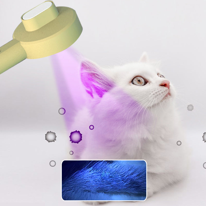 2 In 1 Pet Grooming Comb UV Detection Hair Removal Tool