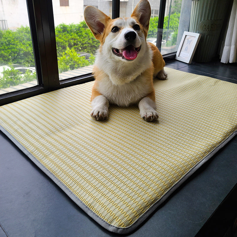 Pet Summer Cooling Anti Bite Sleeping Non Slip Ice Mat