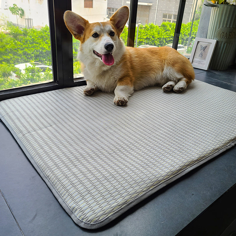 Pet Summer Cooling Anti Bite Sleeping Non Slip Ice Mat
