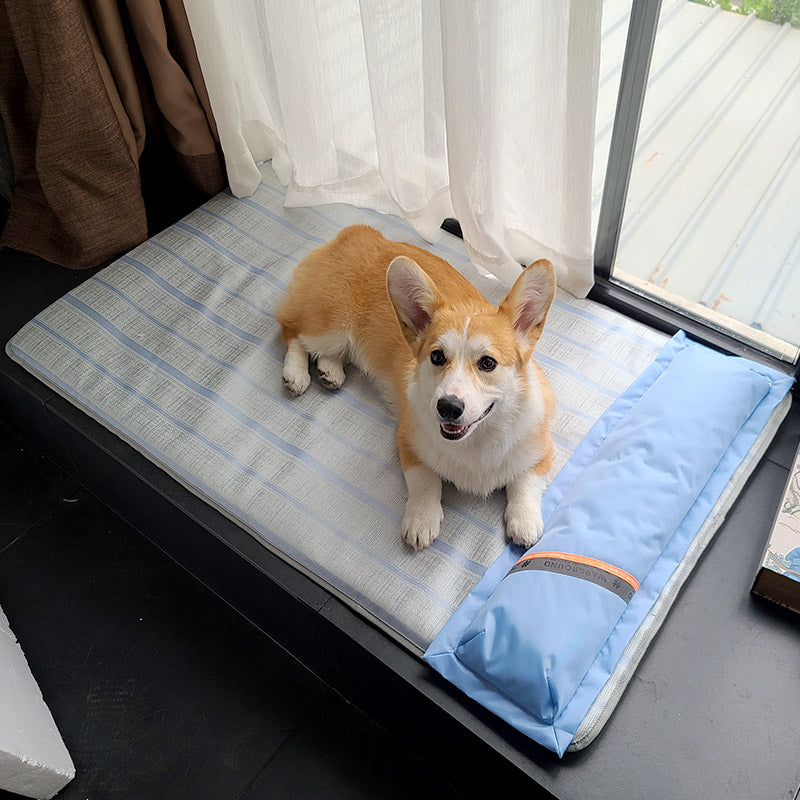 Pet Summer Cooling Anti Bite Sleeping Non Slip Ice Mat