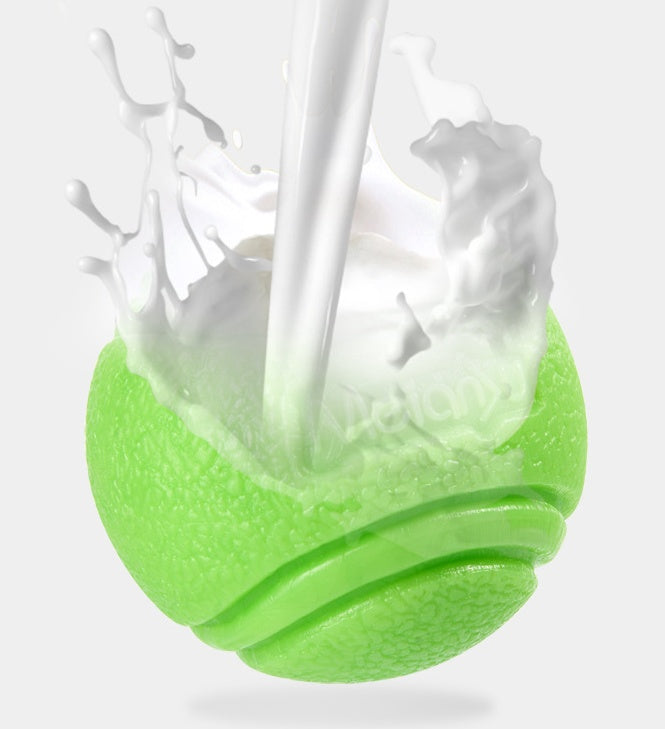 Pet Bouncy Rubber Ball Bite Resistant Durable Chew Toy
