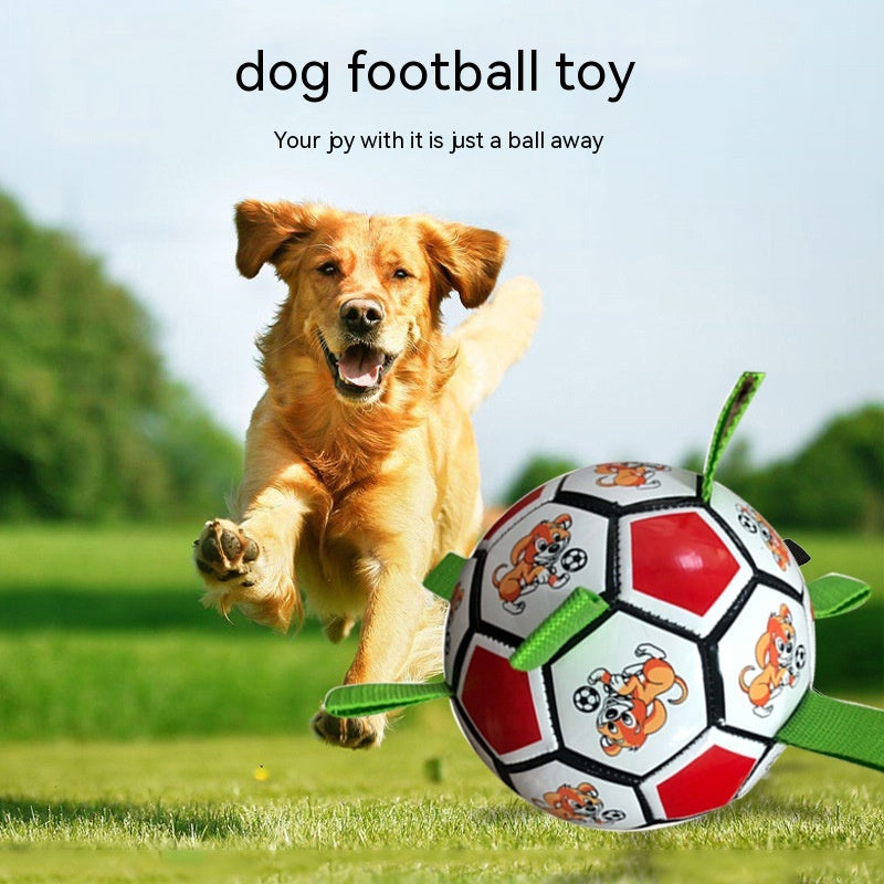 Pet Football Chew Toy Durable Bite Resistant Molar Toy