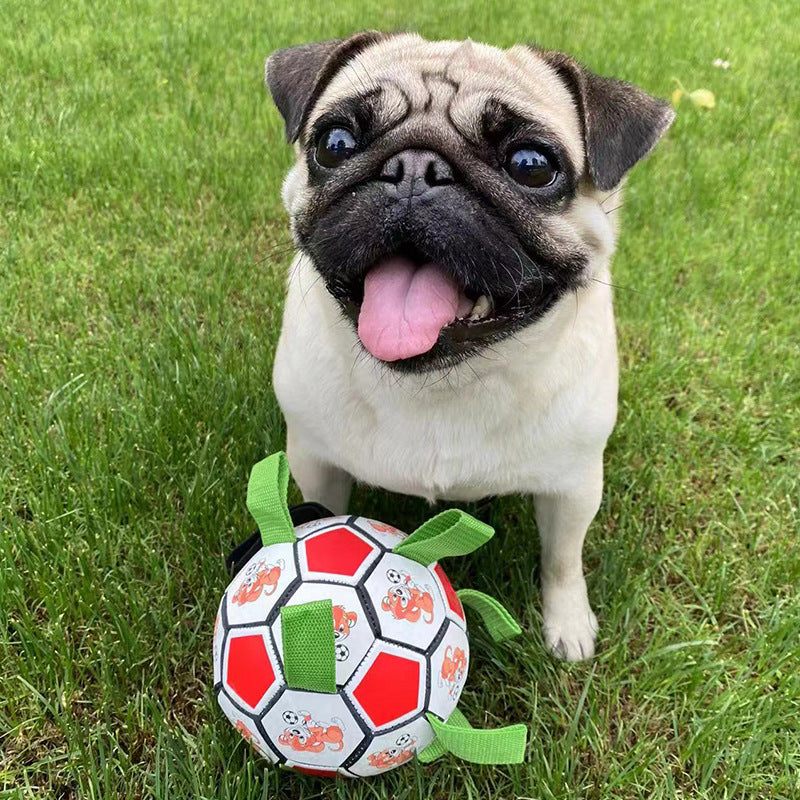 Pet Football Chew Toy Durable Bite Resistant Molar Toy