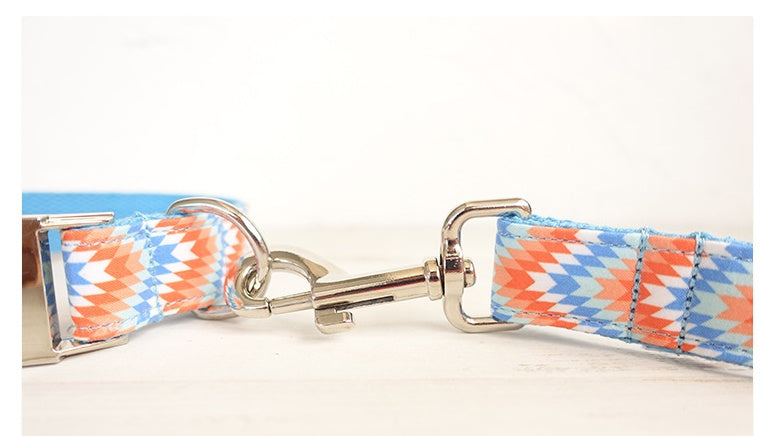 Portable Money Loop Pet Running Rope Leash Set