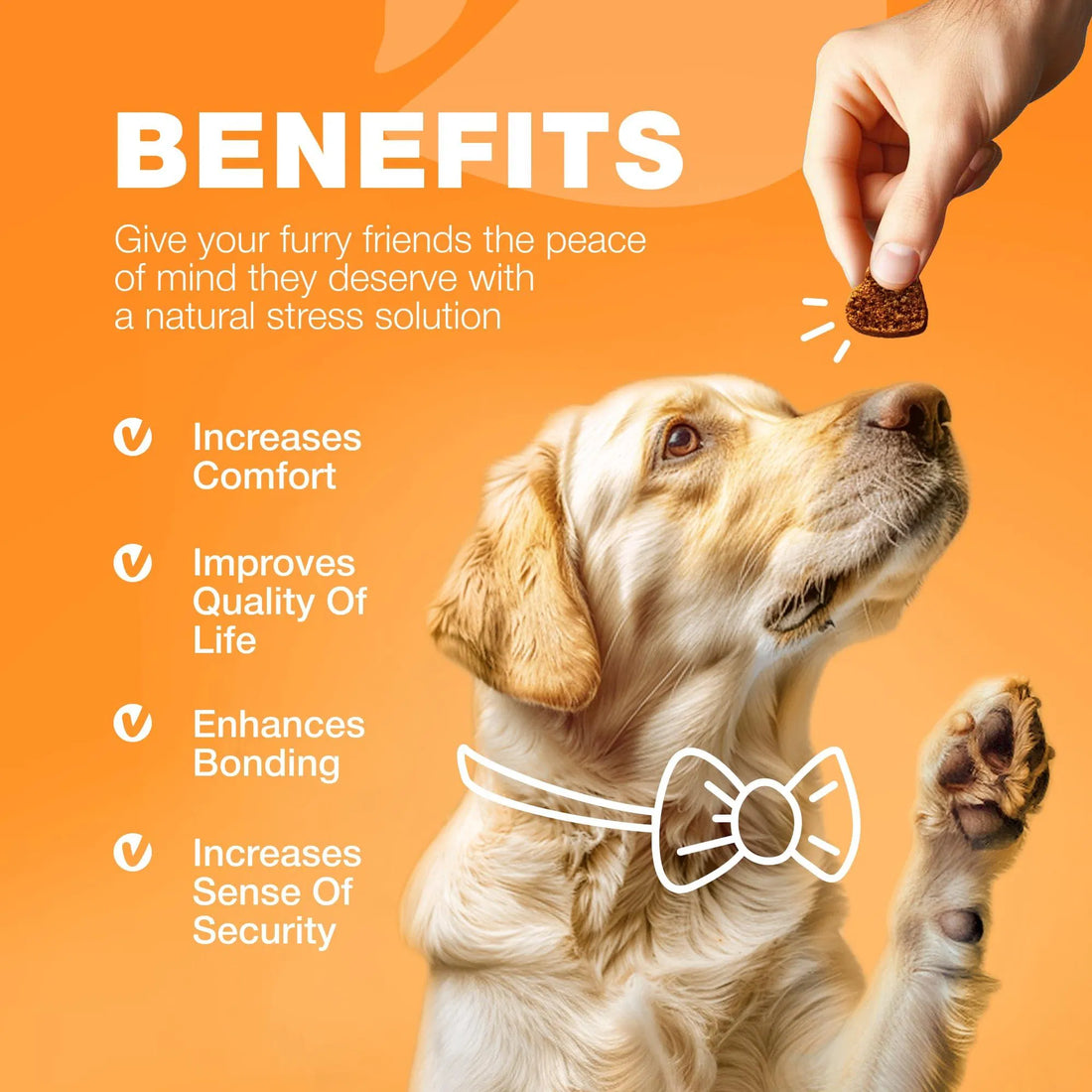 Allergy Relief Chews Itch & Skin Support Treats