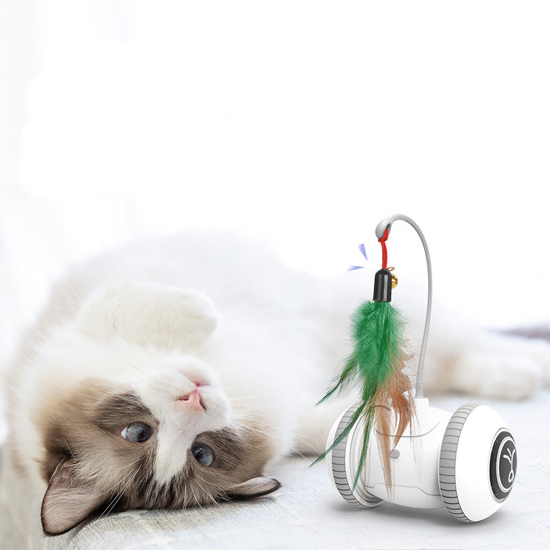 Pet Interactive Feather Toy With Interchangeable Heads