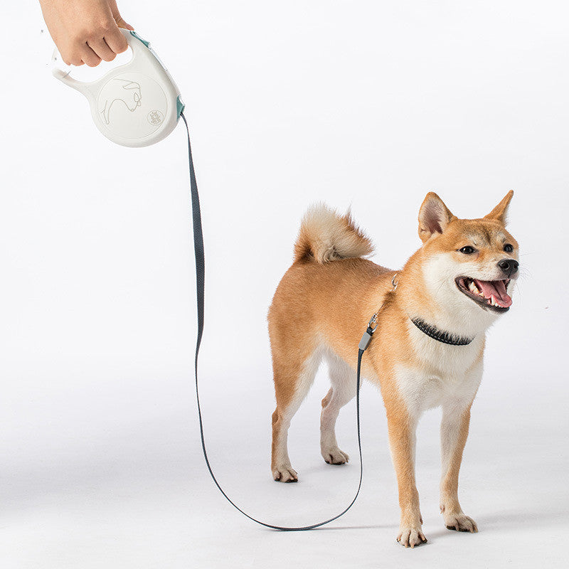 Pet Retractable Leash For Small Medium Large Pets