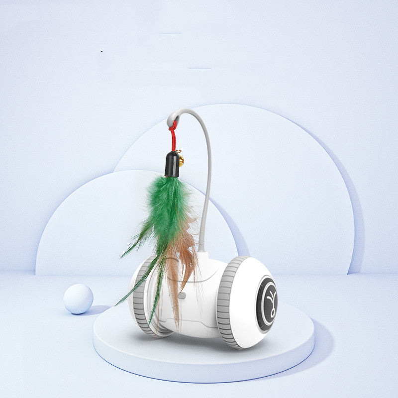 Pet Interactive Feather Toy With Interchangeable Heads