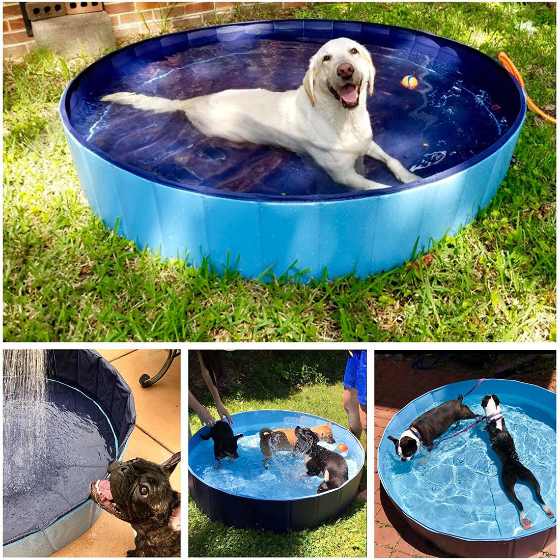 Foldable Pet Bath Collapsible Swimming Pool Indoor Outdoor