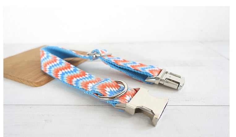 Portable Money Loop Pet Running Rope Leash Set