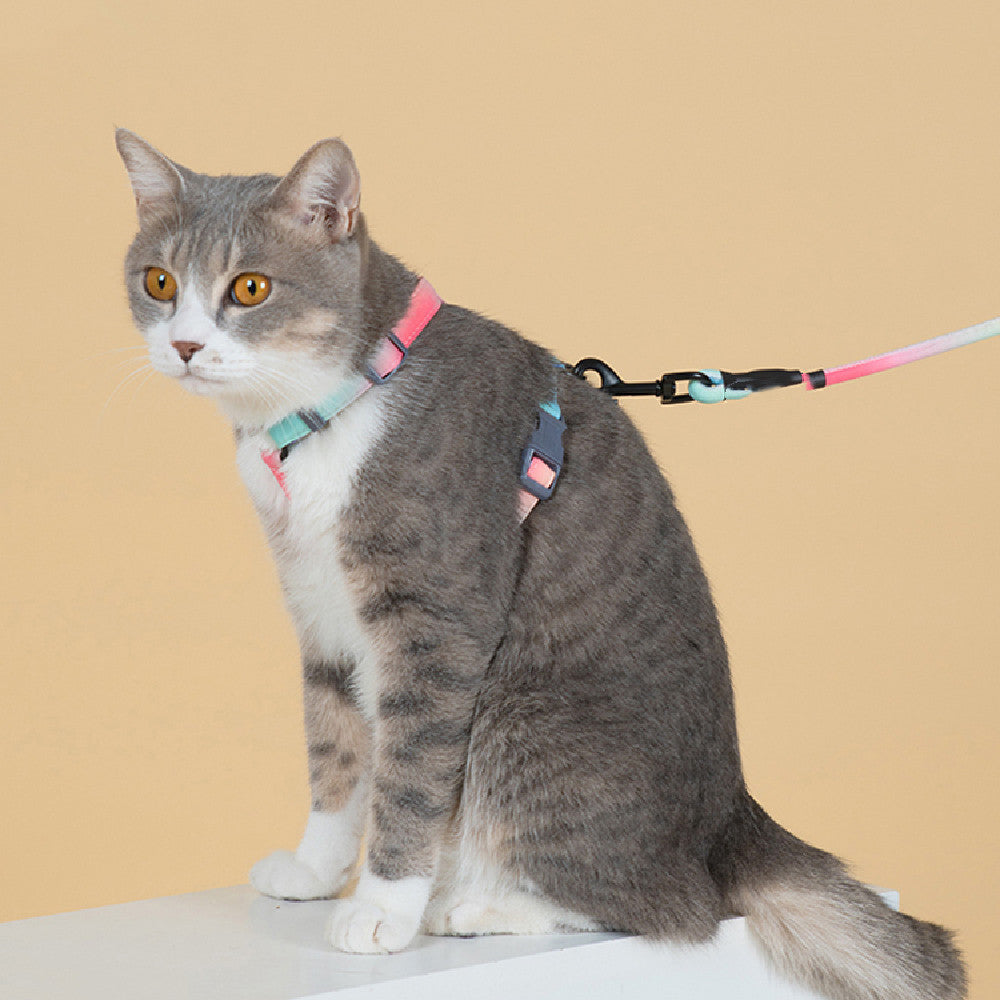 Fashion Pet Leash Anti Escape Secure Walking Rope