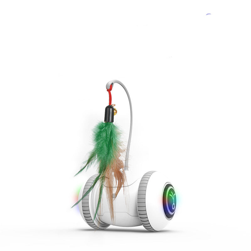 Pet Interactive Feather Toy With Interchangeable Heads