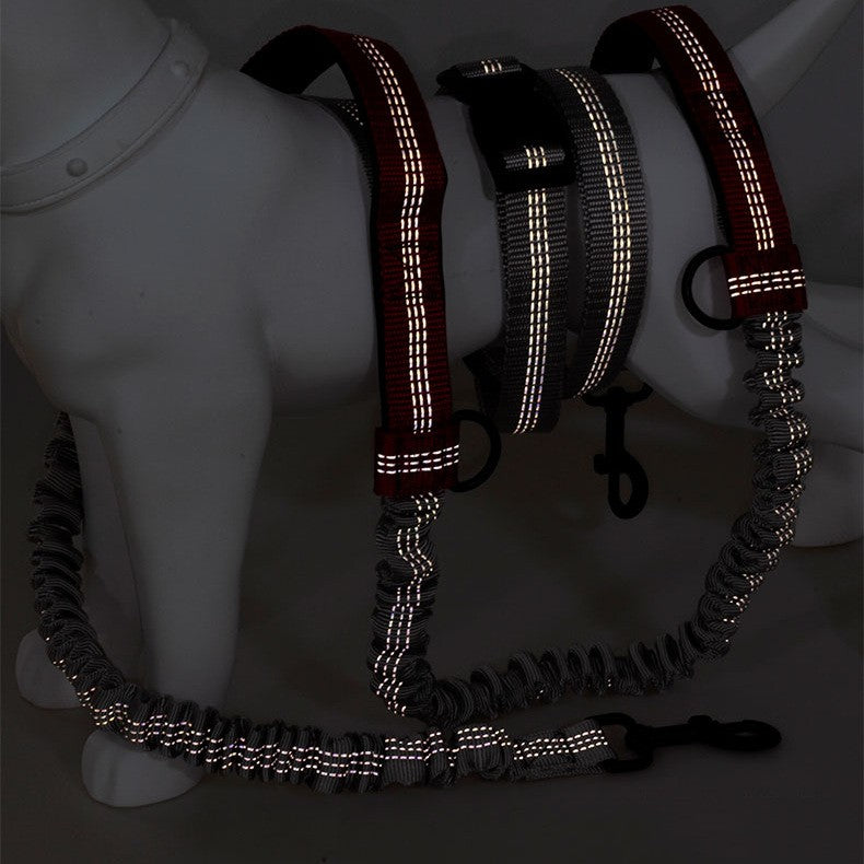 Multifunctional Reflective Double Telescopic Pet Running Leash Rope Lead