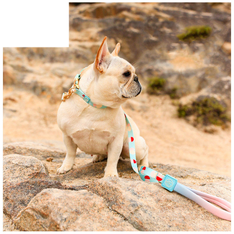 Fashion Y Shaped Pet Chest Harness Adjustable Leash