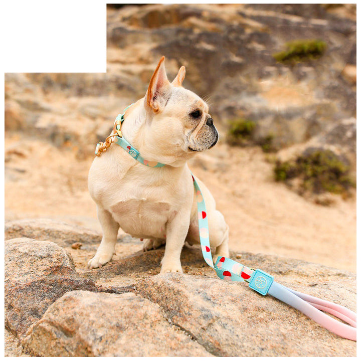 Fashion Y Shaped Pet Chest Harness Adjustable Leash
