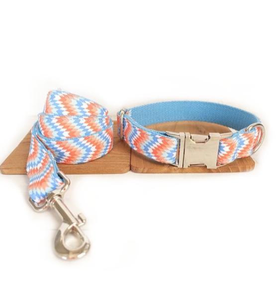 Portable Money Loop Pet Running Rope Leash Set