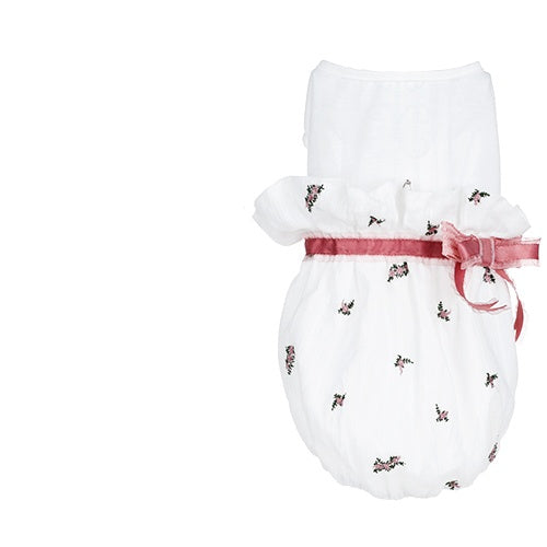 Pet Clothing Outfit