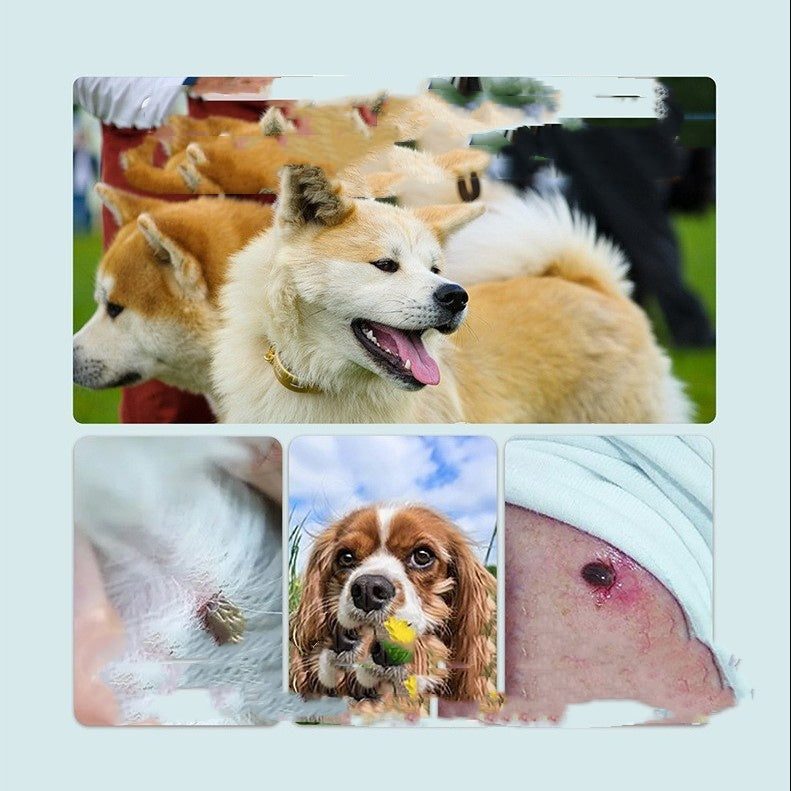 Flea And Tick Control Repellent Collar For Pets