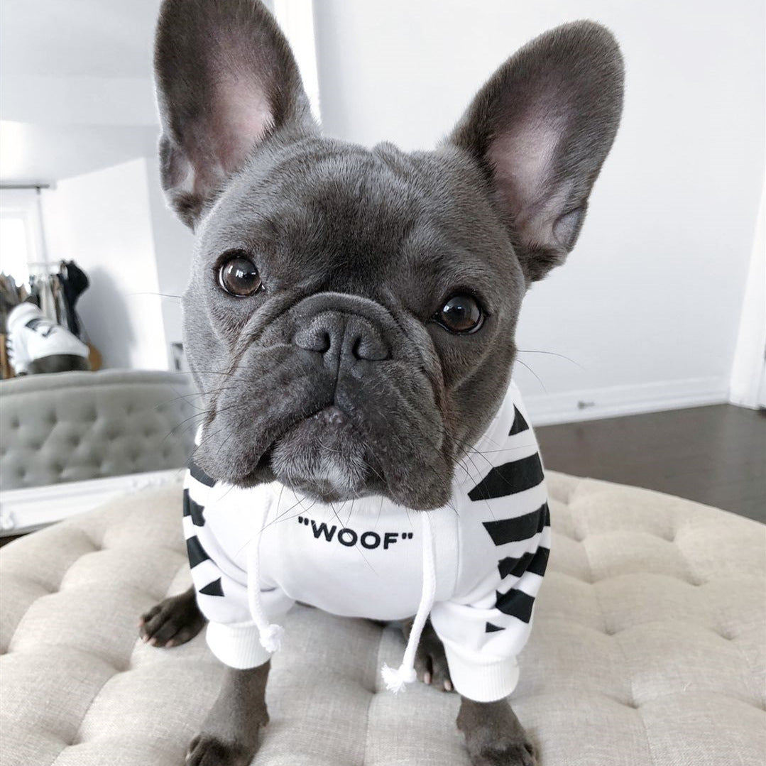 Pet Fashion Three Stripe Winter Sports Sweater Outfit