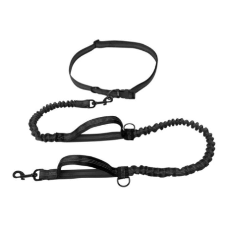Multifunctional Reflective Double Telescopic Pet Running Leash Rope Lead