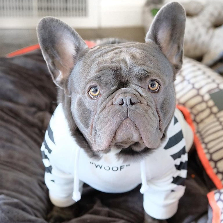 Pet Fashion Three Stripe Winter Sports Sweater Outfit